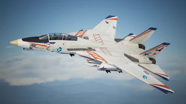 Mage 1974: F-14A