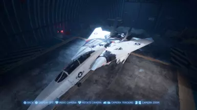 F-14D Enterprise