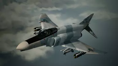 F-4E -3 Tone Flora-