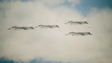 Skeleton Squadron in formation