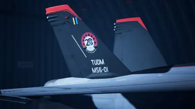 FA-18F -RMAF 20th Anniversary-