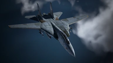 F-14D -Tactical Paint Scheme-