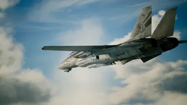 F-14D Tomcat -Mobius-