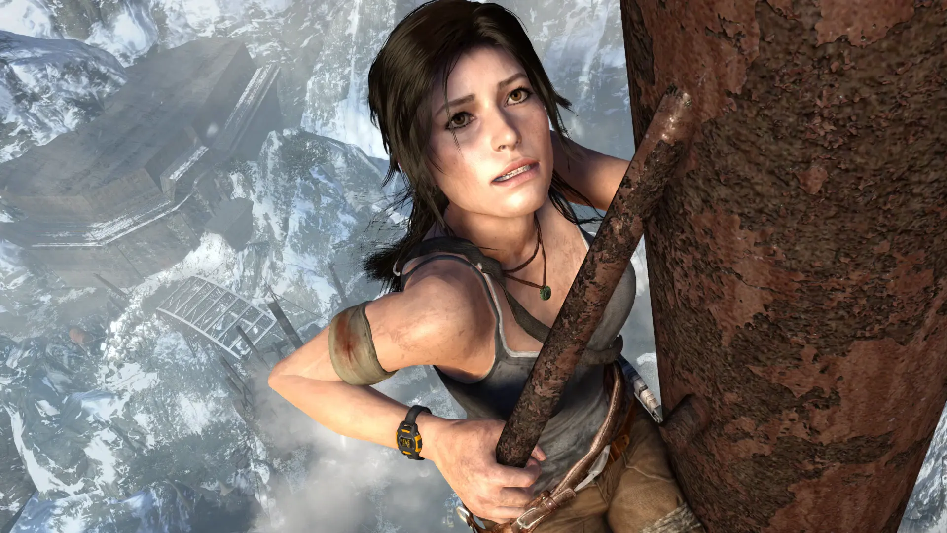 Steam api dll tomb raider 2013 фото 44