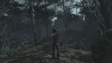 Tomb Raider 2025 reshade hdr vibrant