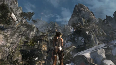 Tomb Raider Definitive Experience preset