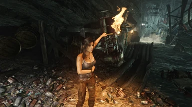 VStormV's Tomb Raider Reshade