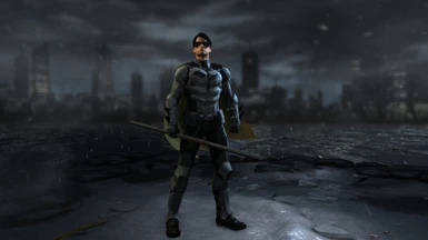 Bat-Robin