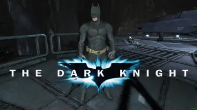 BAK Dark Knight 2008 Movie skin