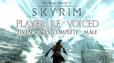 Skyrim SE Player Re-Voiced ( PS4 and PS5 )