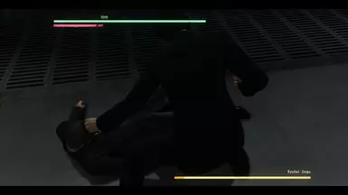 Shady Kiwami HUD
