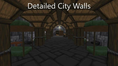 Detailed City Walls