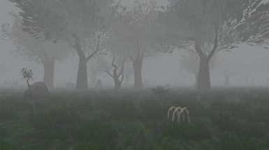 Haunted Woodland