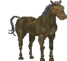 Fixed Animal Textures