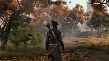 Fox hunting or hunting Fox?