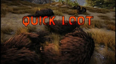 Quick Loot