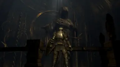 Demon's Souls Visual Overhaul