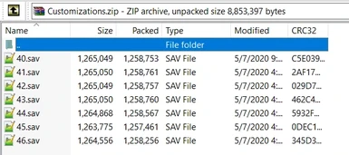 All customizations in inventories of character sav files