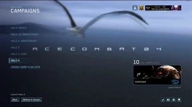 Seagulls... atleast something Halo and Ace Combat share.