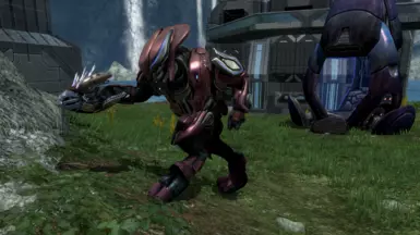 Zealots in firefight