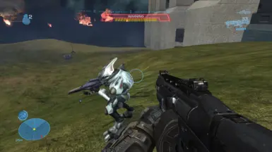 Credit: RPA60 for the Infinite weapon tags