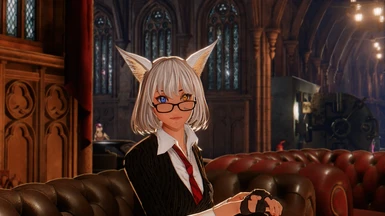Fluffy Tails Accessory at Code Vein Nexus - Mods and community