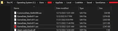 Install2 (Steam) - Drop the save file in here. Change the Slot # if necessary.