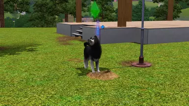 Stop chasing the mailman