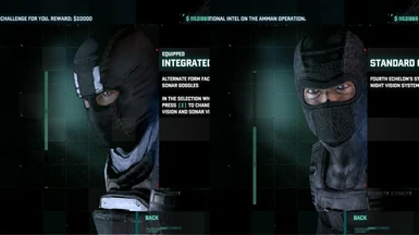 No Goggles/Helmets options for Spy/Merc