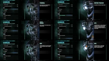Different Goggles Options