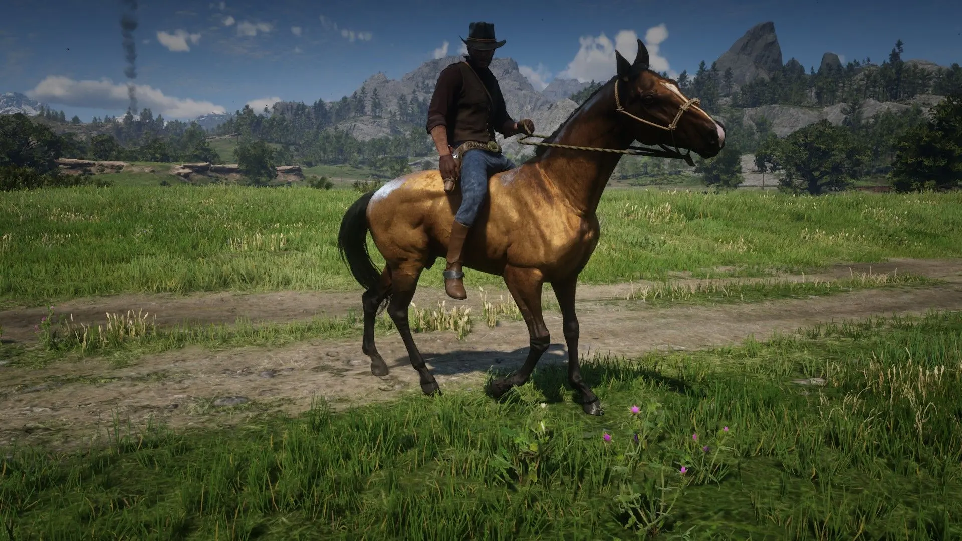 Turkoman at Red Dead Redemption 2 Nexus - Mods and community