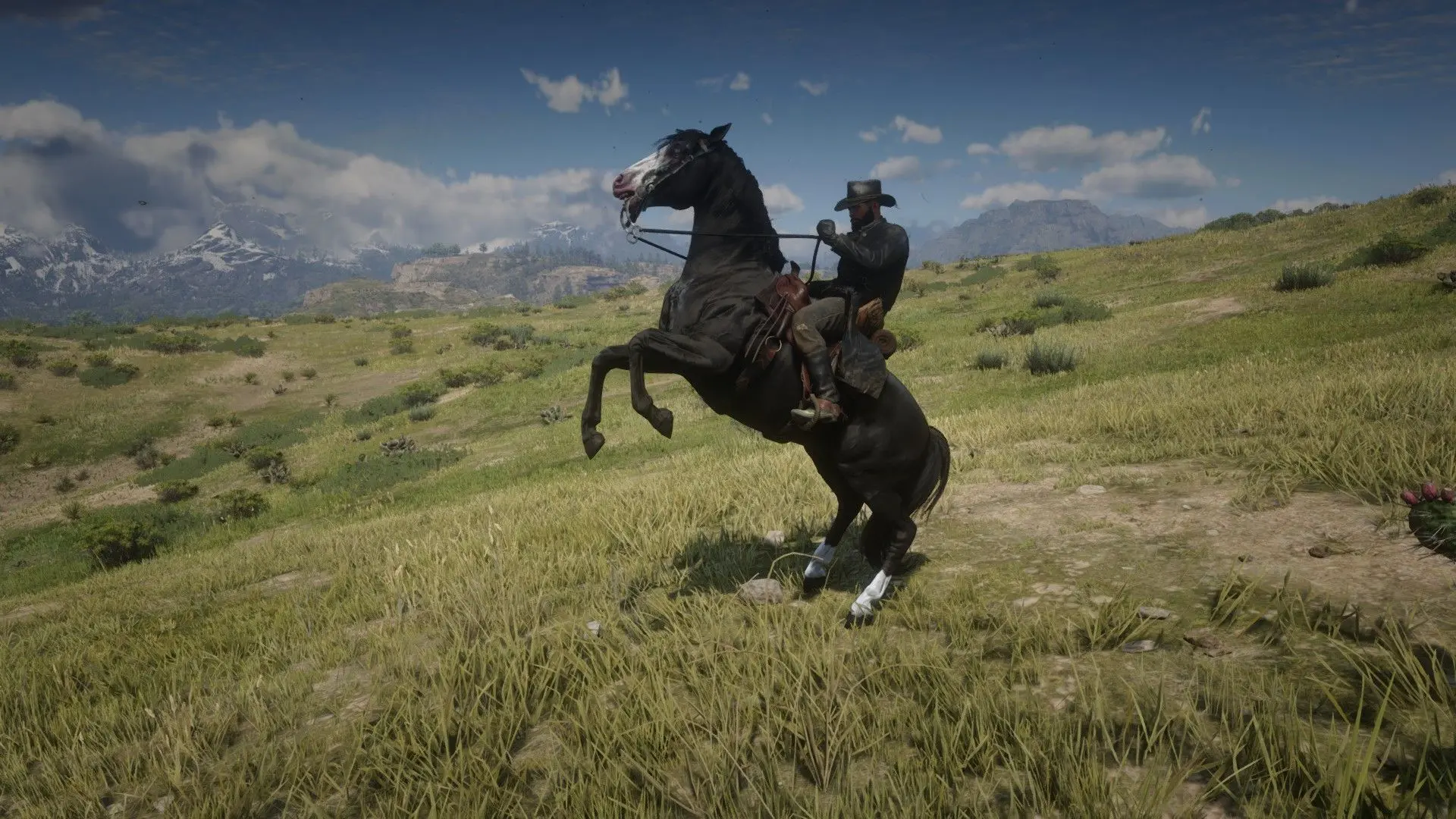 Dark and War horse at Red Dead Redemption 2 Nexus - Mods and community