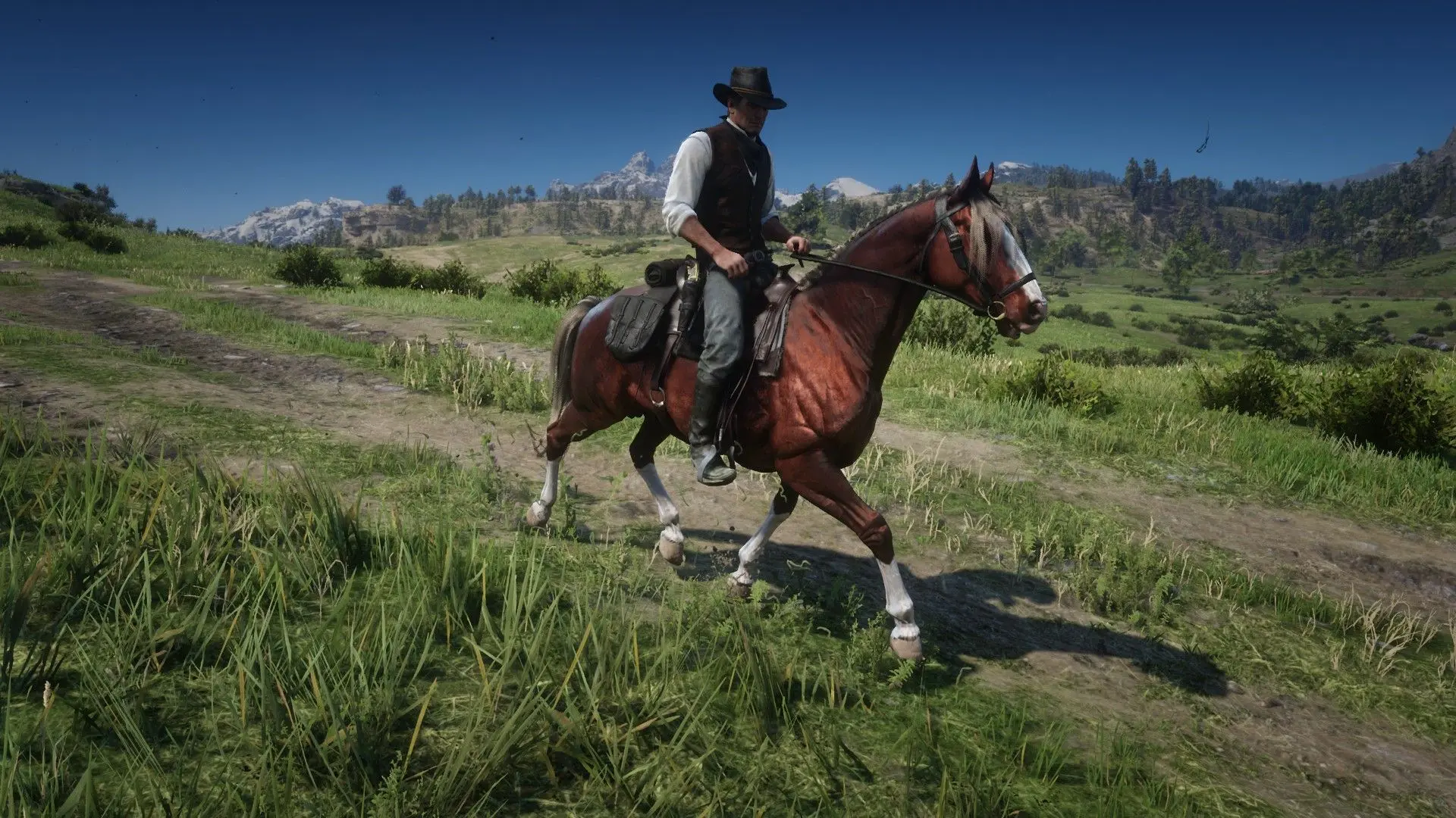 Missouri fox trotter at Red Dead Redemption 2 Nexus - Mods and community