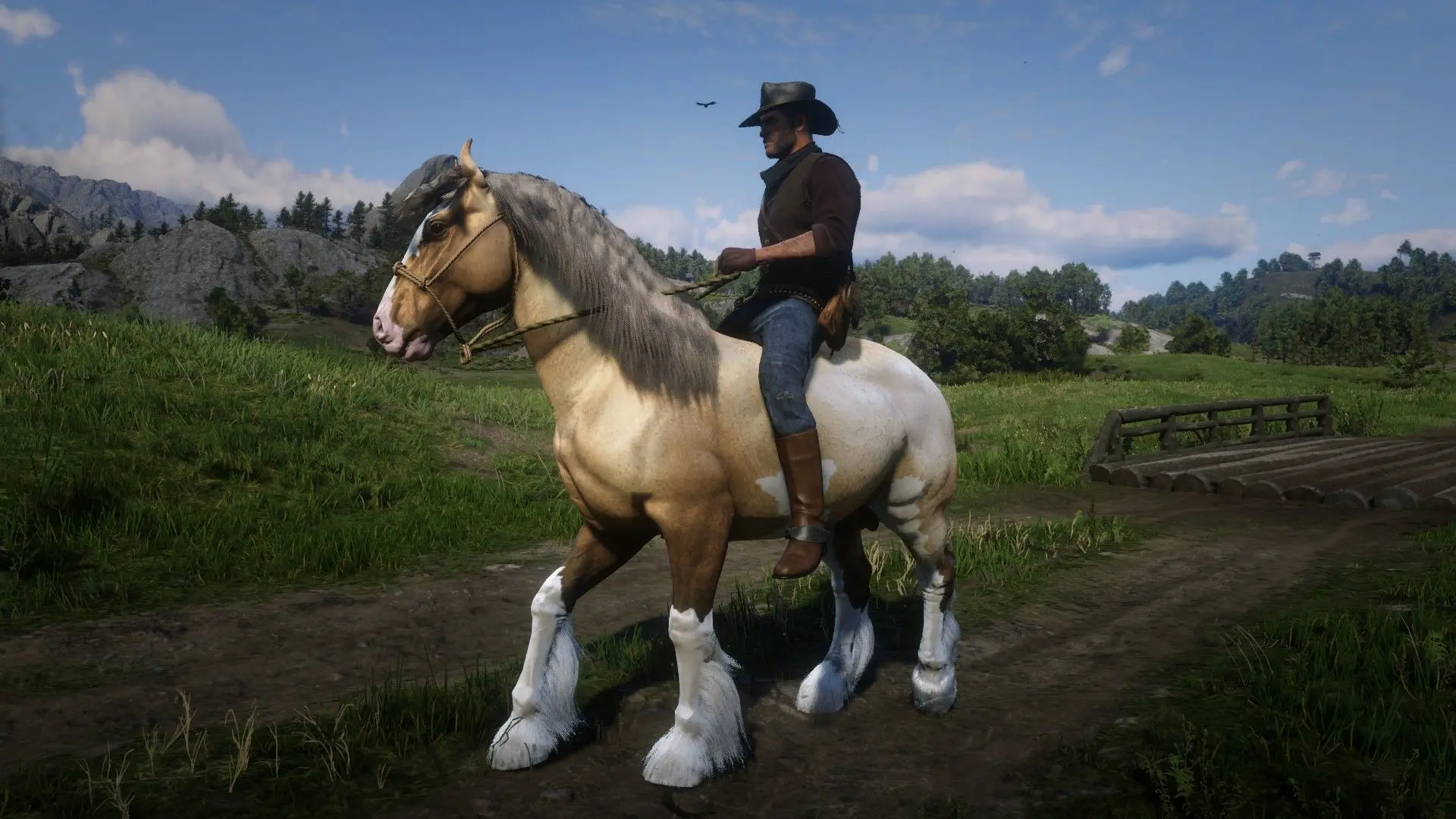 Gypsy Cob at Red Dead Redemption 2 Nexus - Mods and community