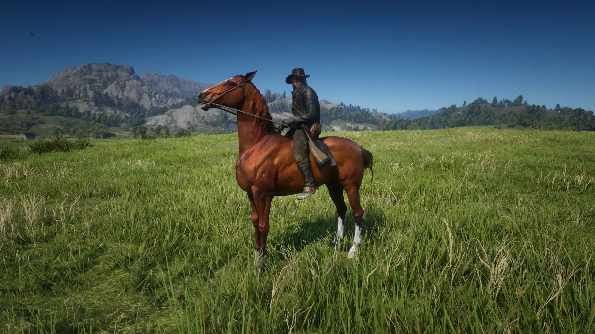 Thoroughbred at Red Dead Redemption 2 Nexus - Mods and community