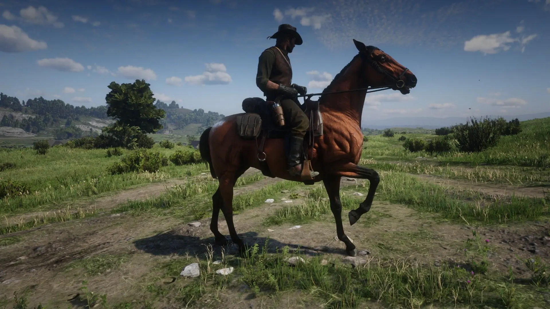 Thoroughbred at Red Dead Redemption 2 Nexus - Mods and community