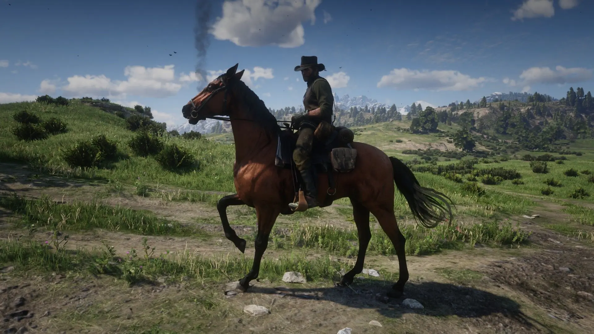 Thoroughbred At Red Dead Redemption 2 Nexus - Mods And Community