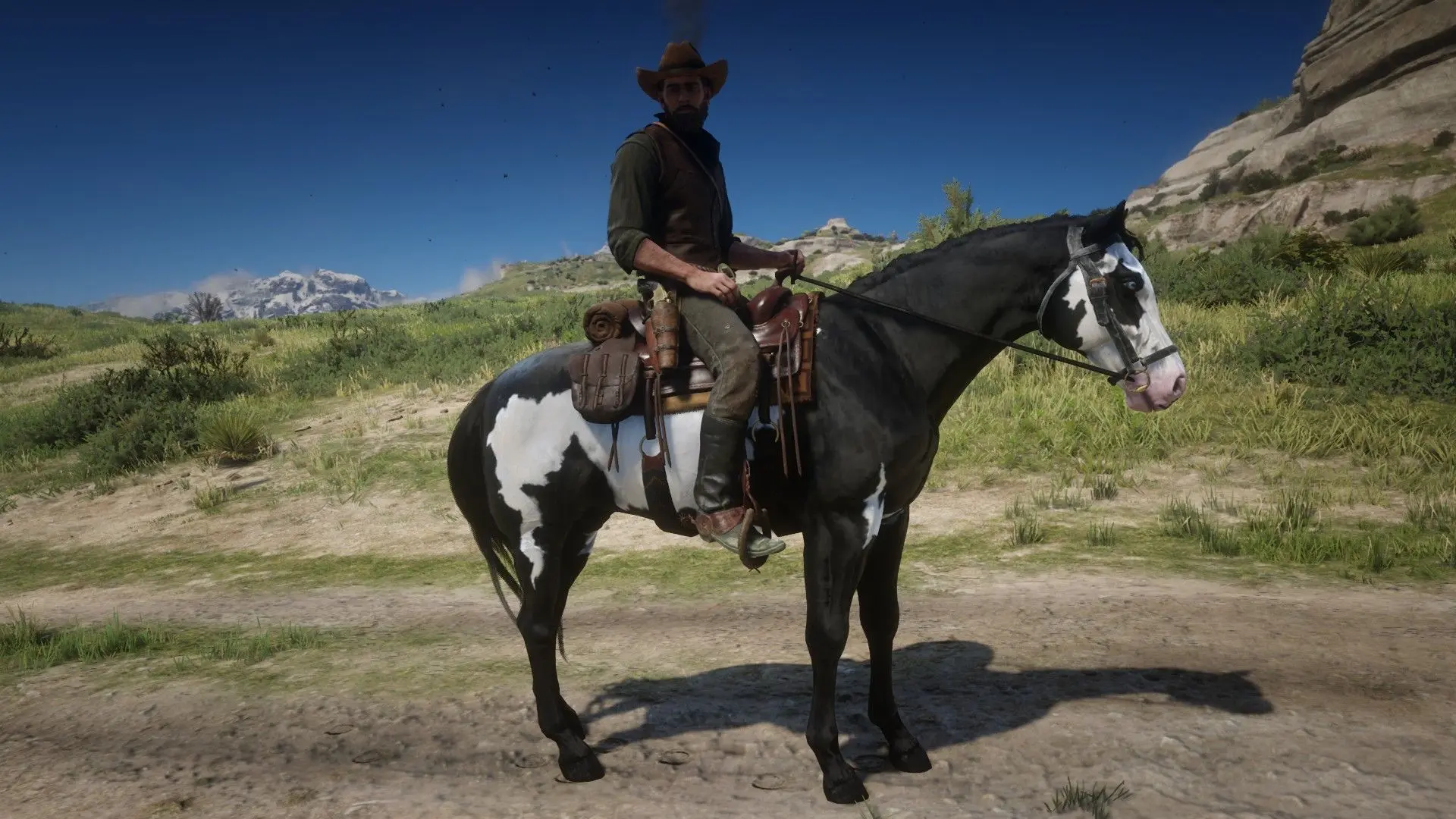 American Paint Horse at Red Dead Redemption 2 Nexus - Mods and community