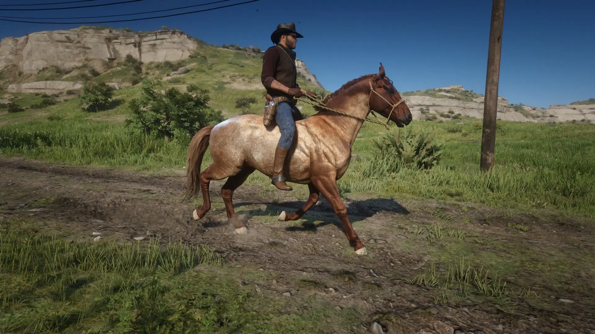 Criollo at Red Dead Redemption 2 Nexus - Mods and community