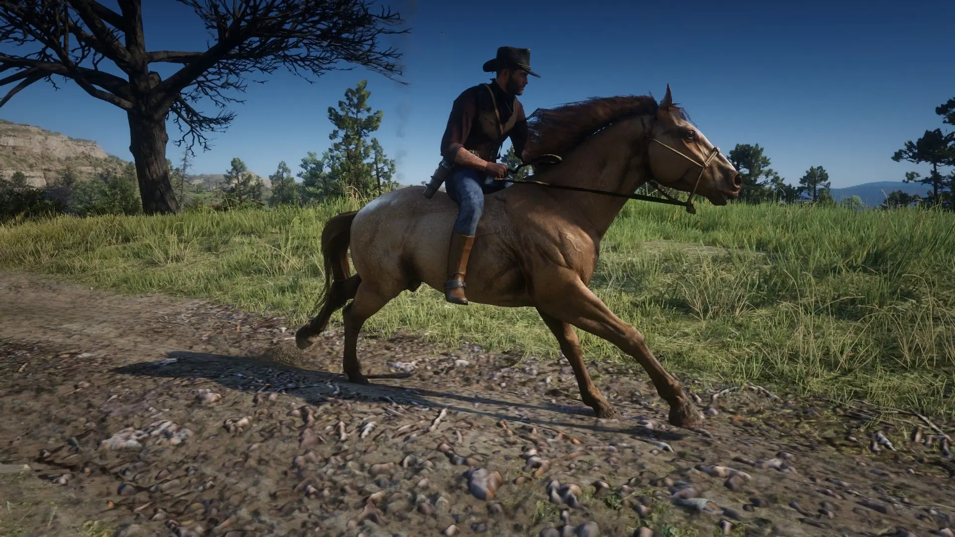 Norfolk Roadster at Red Dead Redemption 2 Nexus - Mods and community