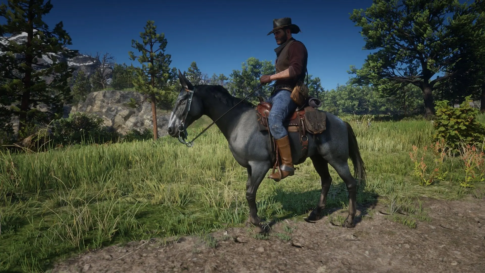 Mule at Red Dead Redemption 2 Nexus - Mods and community