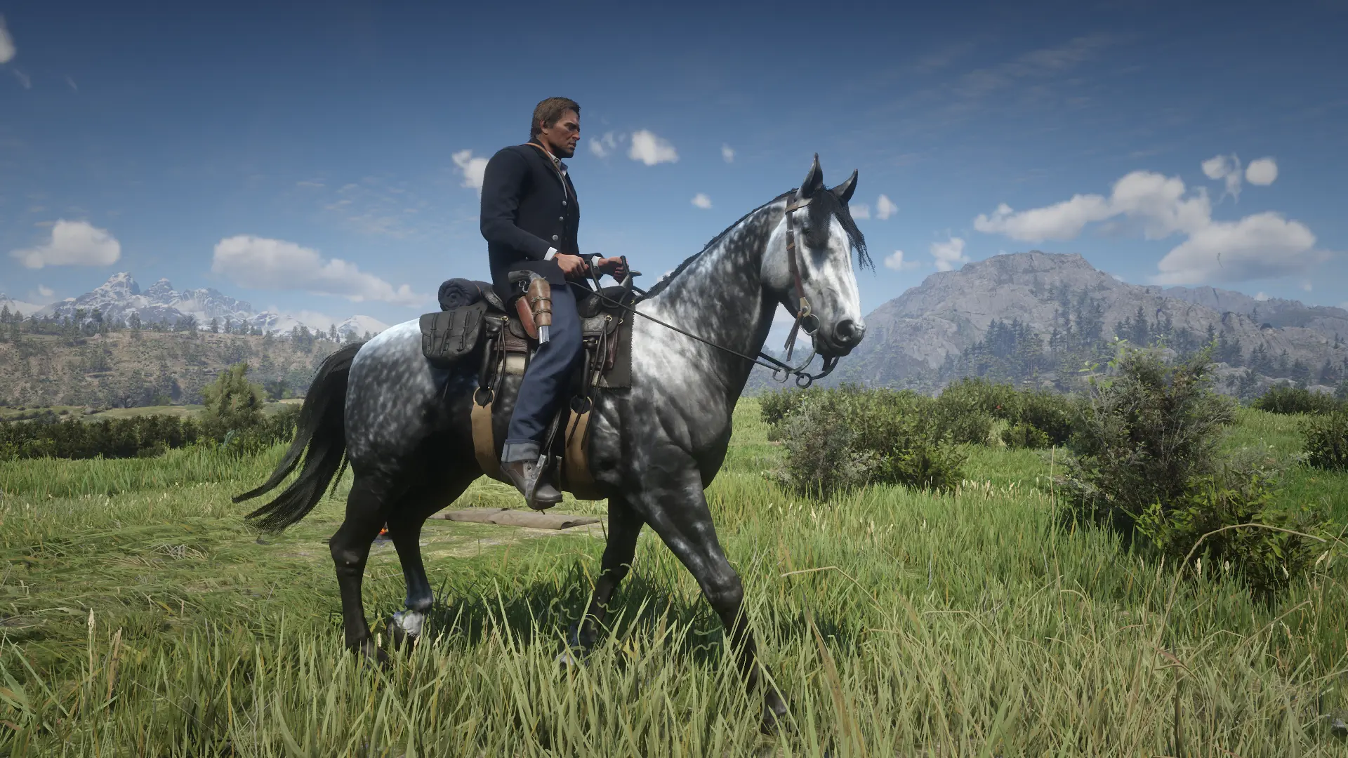 Dhu's Simple Horses at Red Dead Redemption 2 Nexus - Mods and community