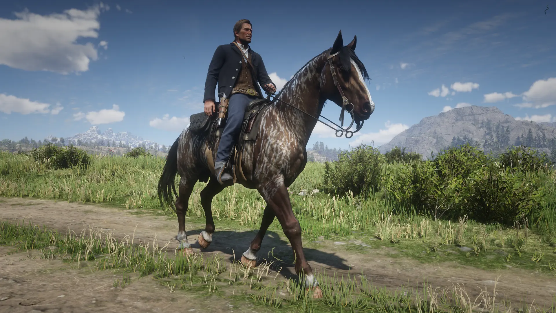 Dhu's Simple Horses at Red Dead Redemption 2 Nexus - Mods and community