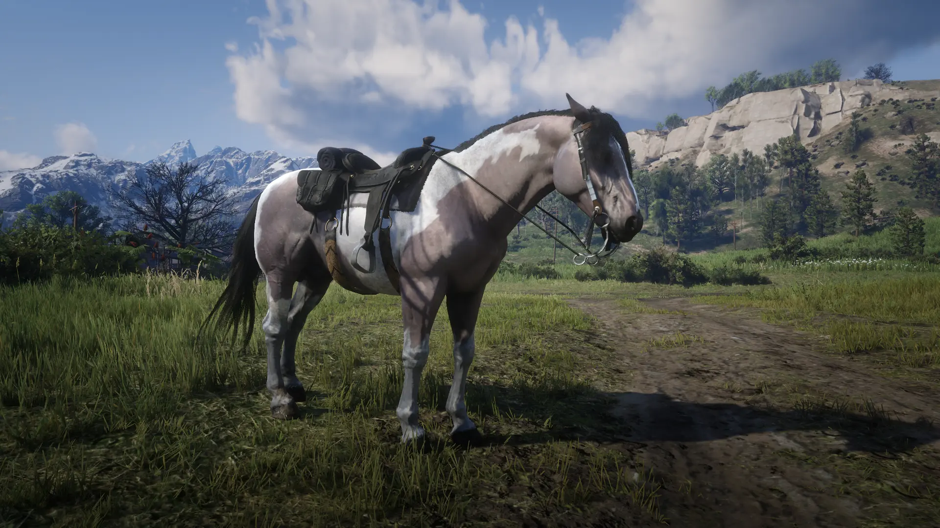 Dhu's Simple Horses at Red Dead Redemption 2 Nexus - Mods and community