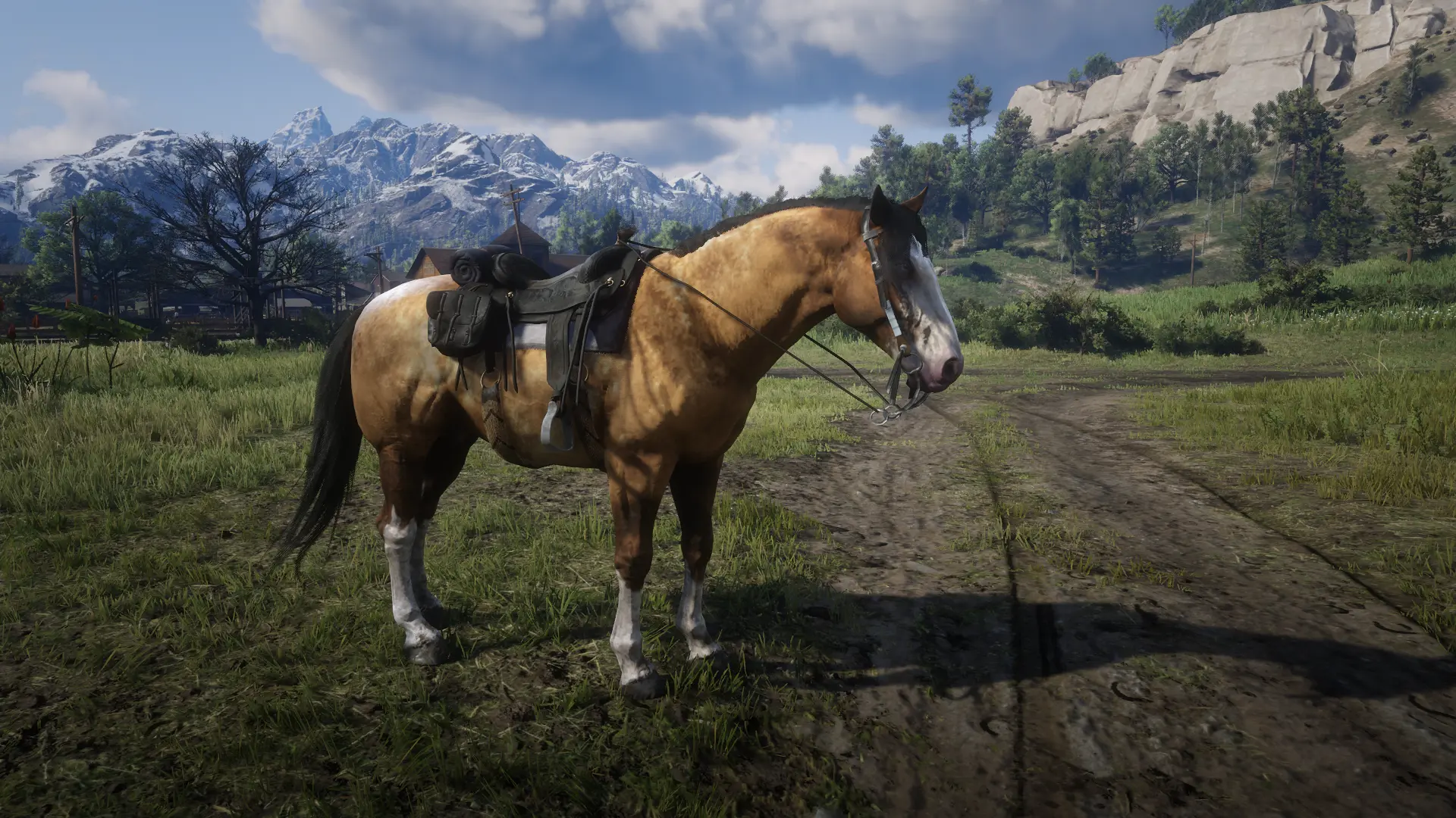 Dhu's Simple Horses at Red Dead Redemption 2 Nexus - Mods and community