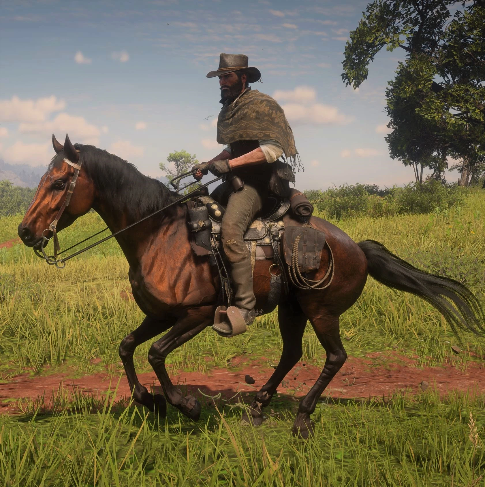 Realistic Cowboy Horses at Red Dead Redemption 2 Nexus - Mods and community