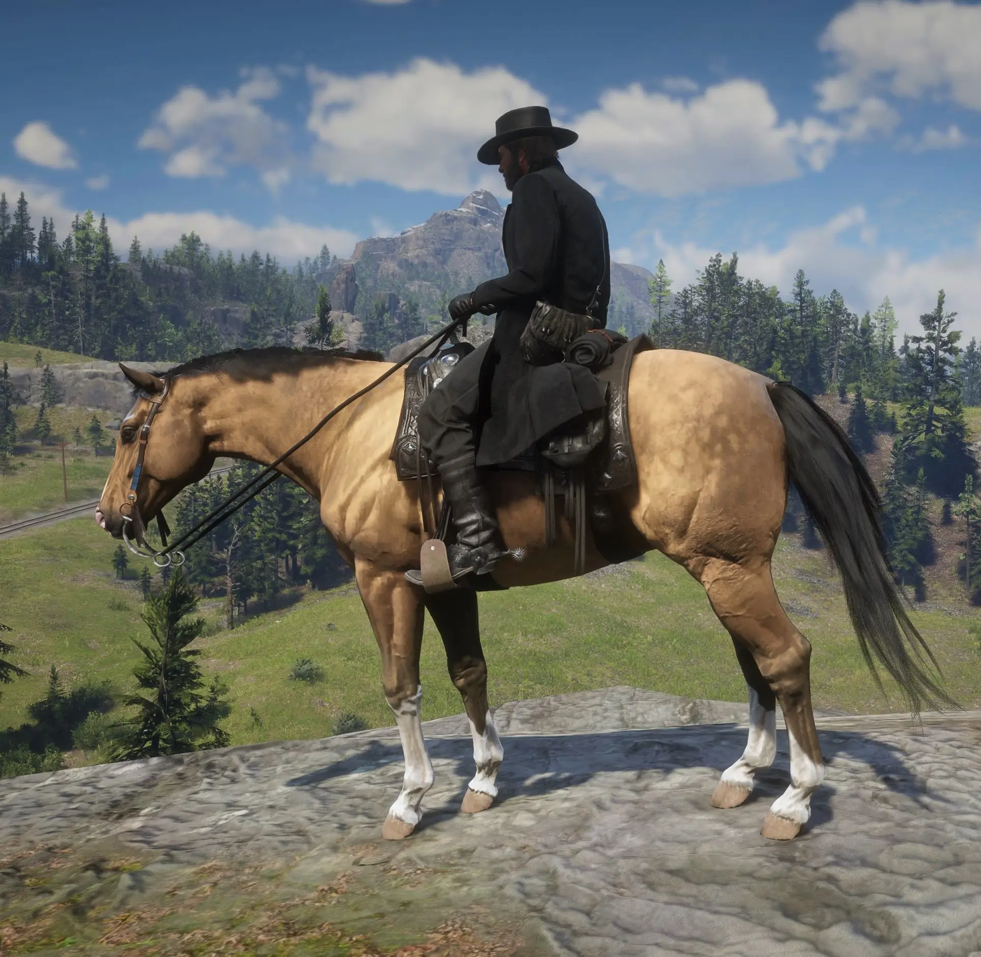 Realistic Cowboy Horses at Red Dead Redemption 2 Nexus - Mods and community