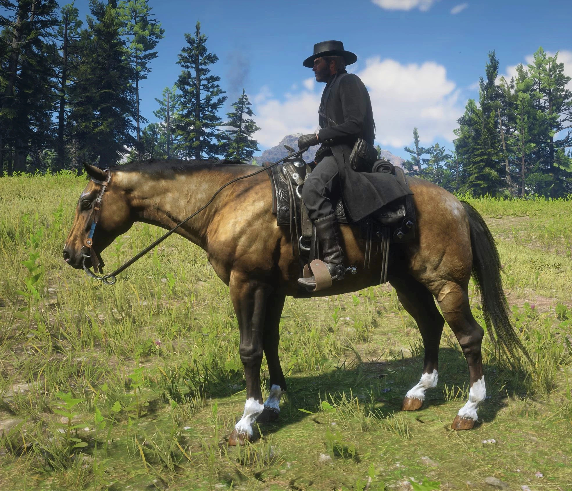 Realistic Cowboy Horses at Red Dead Redemption 2 Nexus - Mods and community