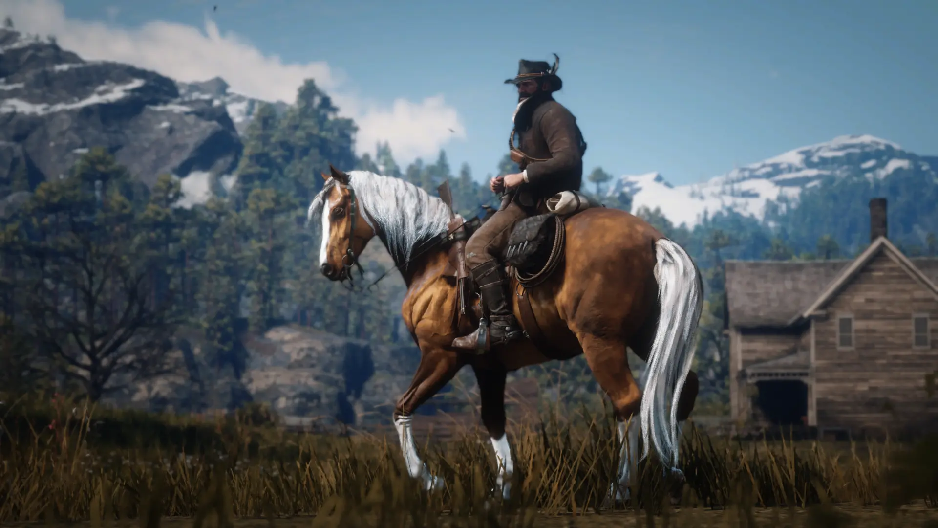 Realistic Cowboy Horses at Red Dead Redemption 2 Nexus - Mods and community