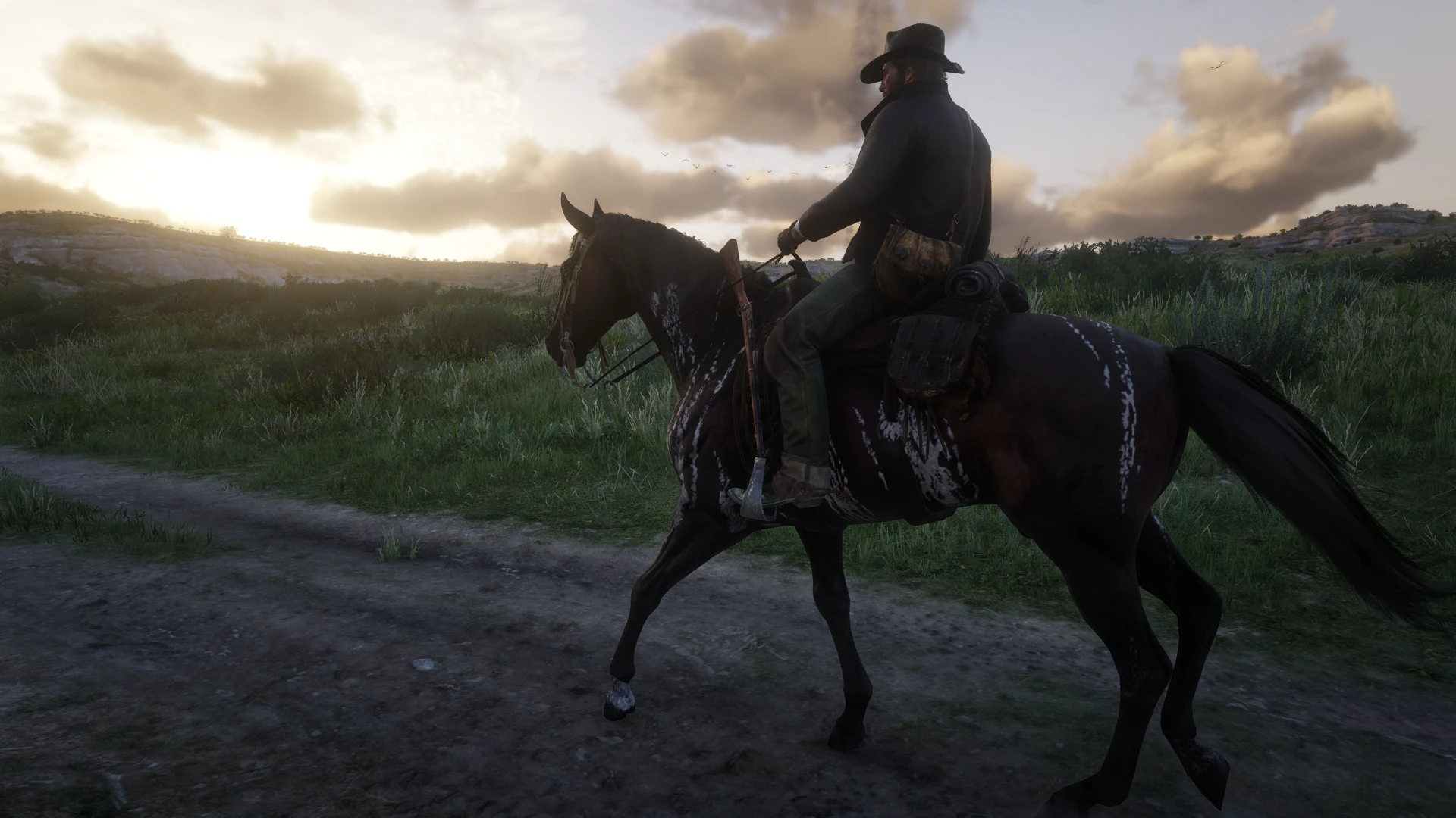 Red Dead Race Horses at Red Dead Redemption 2 Nexus - Mods and community